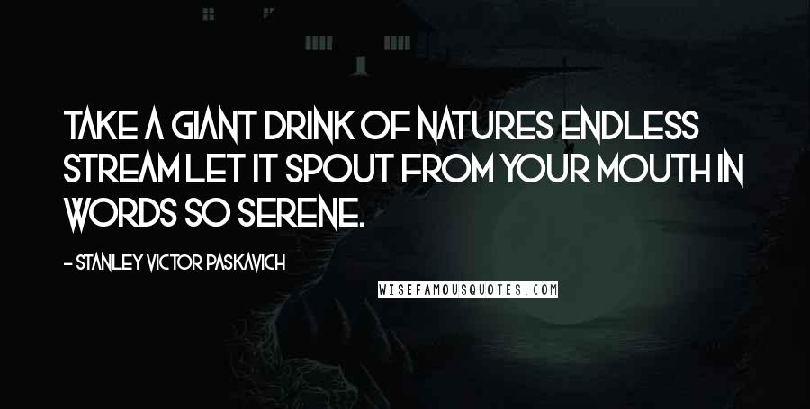 Stanley Victor Paskavich Quotes: Take a giant drink of natures endless stream let it spout from your mouth in words so serene.