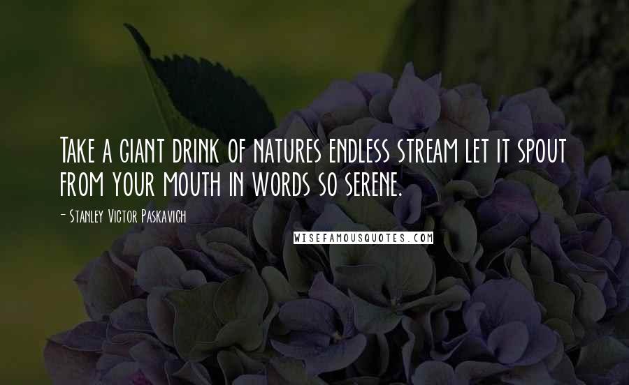 Stanley Victor Paskavich Quotes: Take a giant drink of natures endless stream let it spout from your mouth in words so serene.