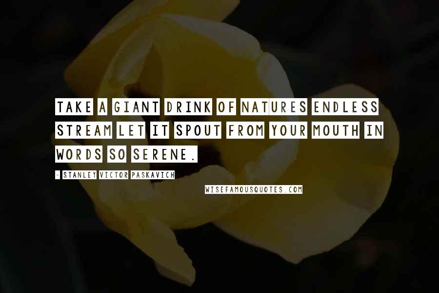 Stanley Victor Paskavich Quotes: Take a giant drink of natures endless stream let it spout from your mouth in words so serene.