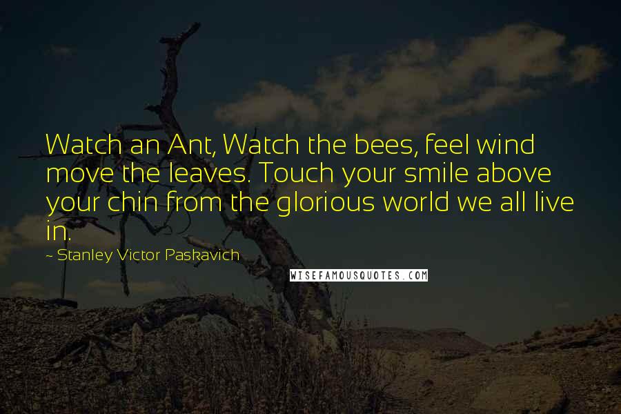 Stanley Victor Paskavich Quotes: Watch an Ant, Watch the bees, feel wind move the leaves. Touch your smile above your chin from the glorious world we all live in.