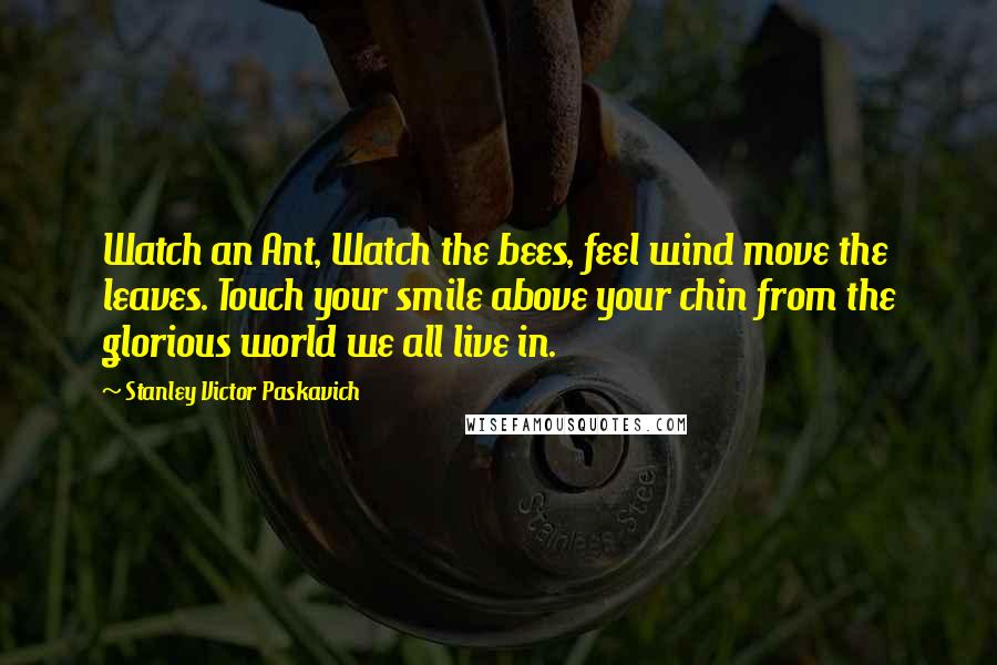 Stanley Victor Paskavich Quotes: Watch an Ant, Watch the bees, feel wind move the leaves. Touch your smile above your chin from the glorious world we all live in.