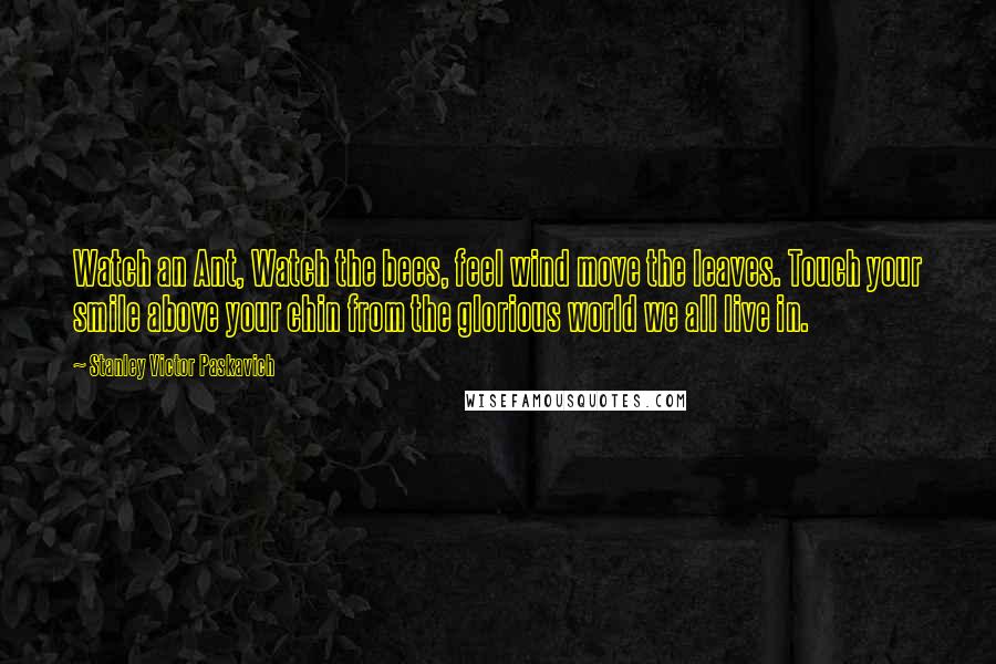 Stanley Victor Paskavich Quotes: Watch an Ant, Watch the bees, feel wind move the leaves. Touch your smile above your chin from the glorious world we all live in.