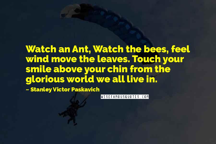 Stanley Victor Paskavich Quotes: Watch an Ant, Watch the bees, feel wind move the leaves. Touch your smile above your chin from the glorious world we all live in.