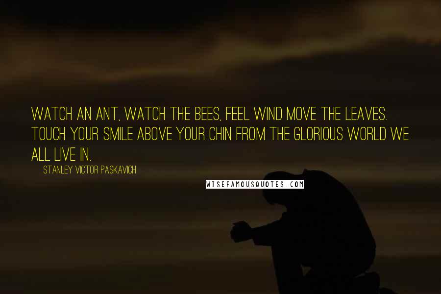 Stanley Victor Paskavich Quotes: Watch an Ant, Watch the bees, feel wind move the leaves. Touch your smile above your chin from the glorious world we all live in.