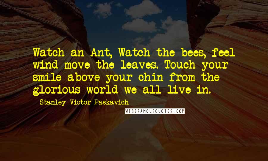 Stanley Victor Paskavich Quotes: Watch an Ant, Watch the bees, feel wind move the leaves. Touch your smile above your chin from the glorious world we all live in.