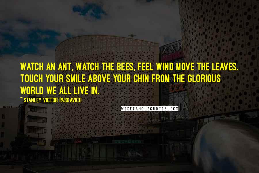 Stanley Victor Paskavich Quotes: Watch an Ant, Watch the bees, feel wind move the leaves. Touch your smile above your chin from the glorious world we all live in.