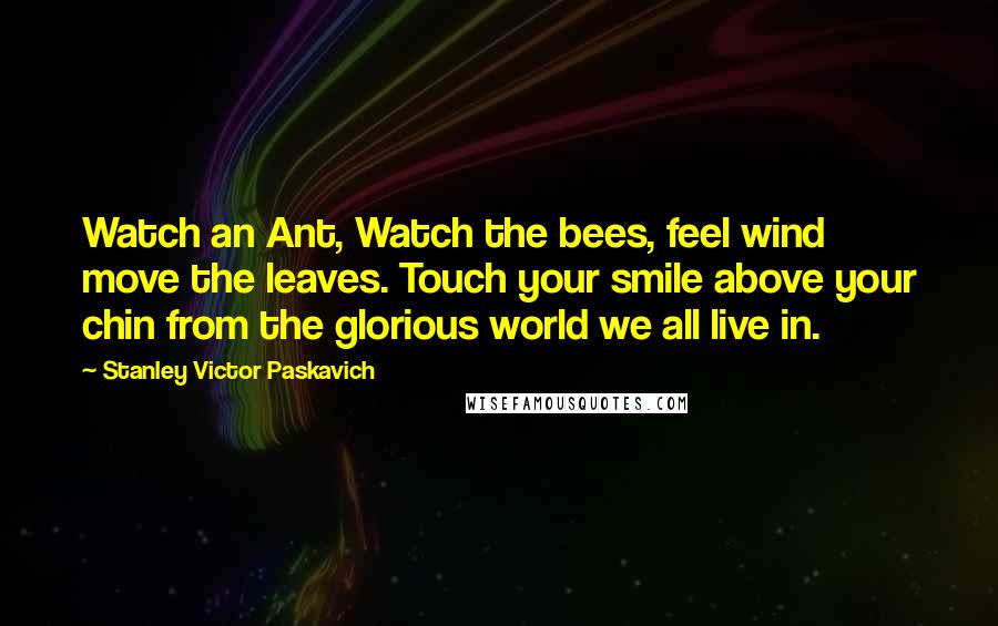 Stanley Victor Paskavich Quotes: Watch an Ant, Watch the bees, feel wind move the leaves. Touch your smile above your chin from the glorious world we all live in.