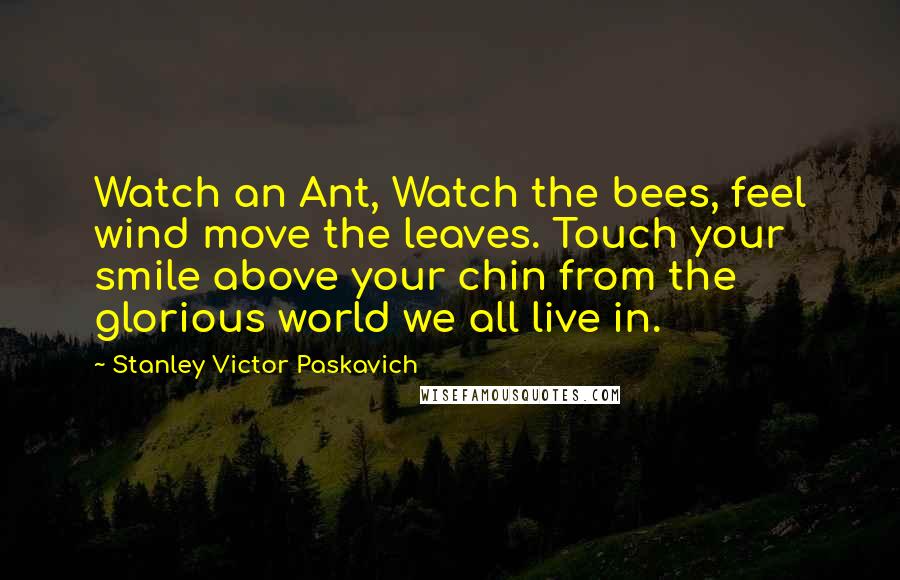 Stanley Victor Paskavich Quotes: Watch an Ant, Watch the bees, feel wind move the leaves. Touch your smile above your chin from the glorious world we all live in.