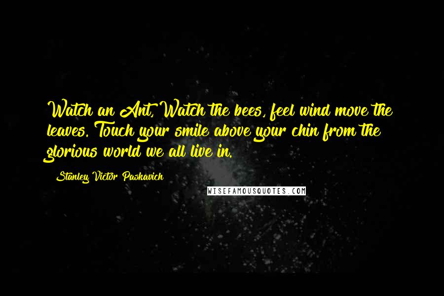 Stanley Victor Paskavich Quotes: Watch an Ant, Watch the bees, feel wind move the leaves. Touch your smile above your chin from the glorious world we all live in.