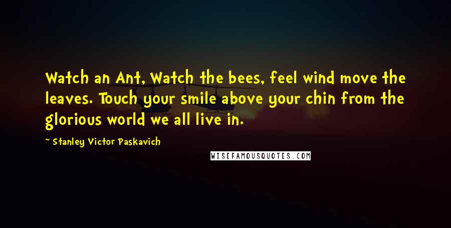 Stanley Victor Paskavich Quotes: Watch an Ant, Watch the bees, feel wind move the leaves. Touch your smile above your chin from the glorious world we all live in.