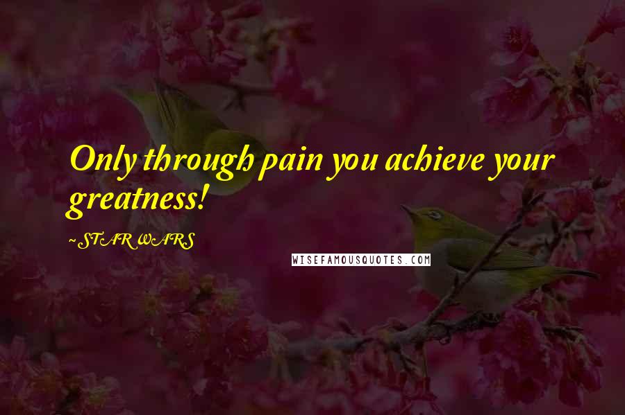 STAR WARS Quotes: Only through pain you achieve your greatness!