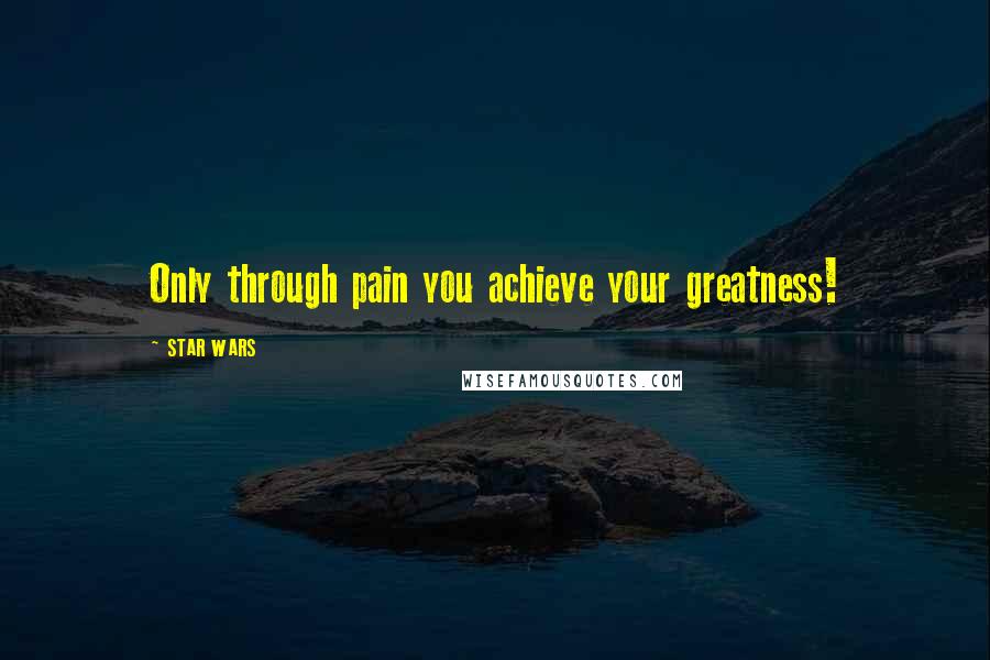 STAR WARS Quotes: Only through pain you achieve your greatness!