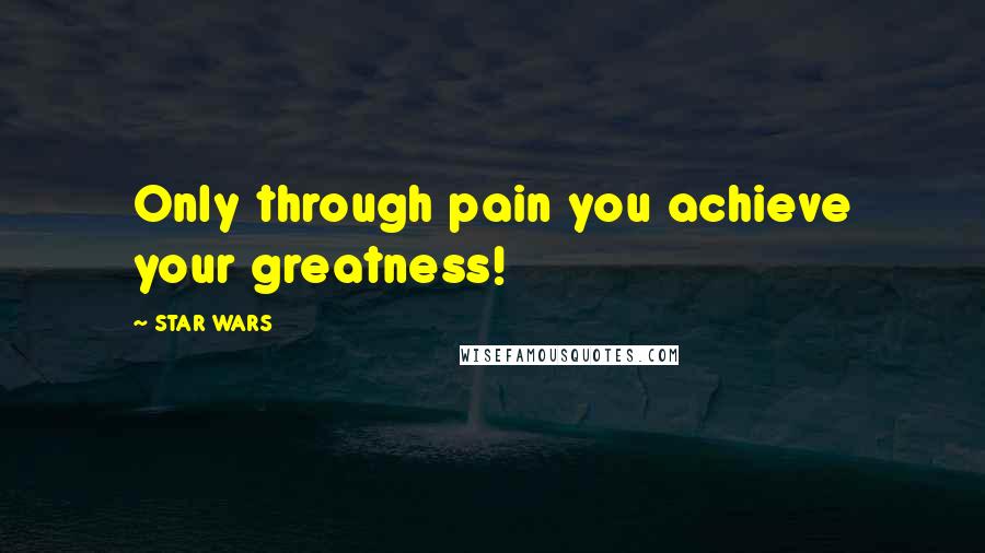 STAR WARS Quotes: Only through pain you achieve your greatness!