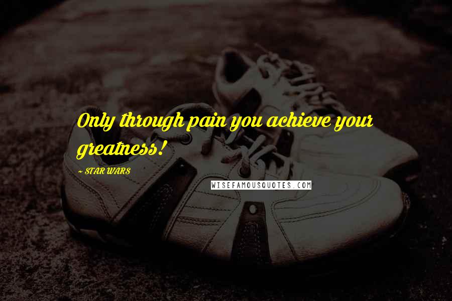 STAR WARS Quotes: Only through pain you achieve your greatness!