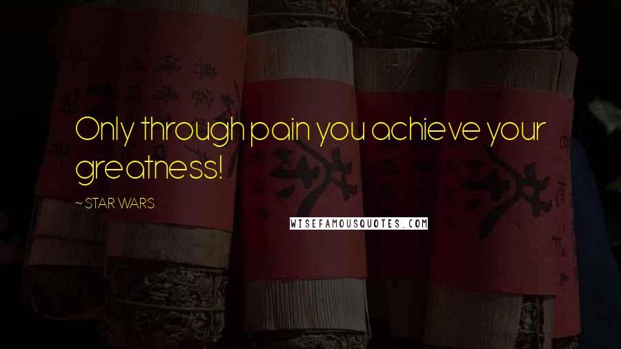 STAR WARS Quotes: Only through pain you achieve your greatness!