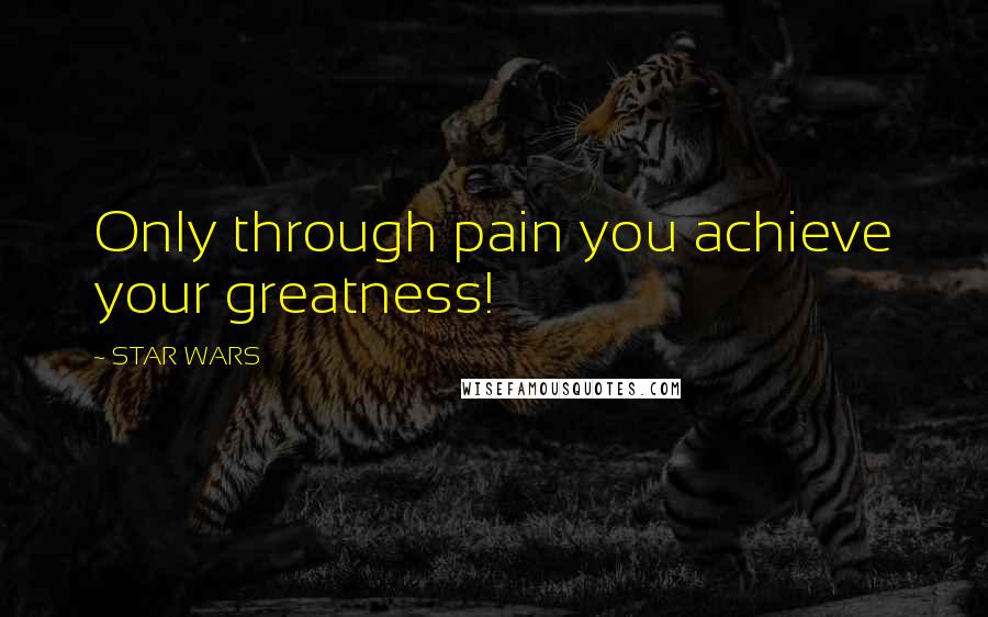 STAR WARS Quotes: Only through pain you achieve your greatness!