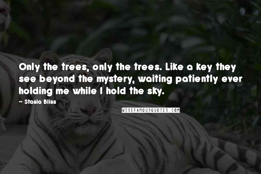 Stasia Bliss Quotes: Only the trees, only the trees. Like a key they see beyond the mystery, waiting patiently ever holding me while I hold the sky.