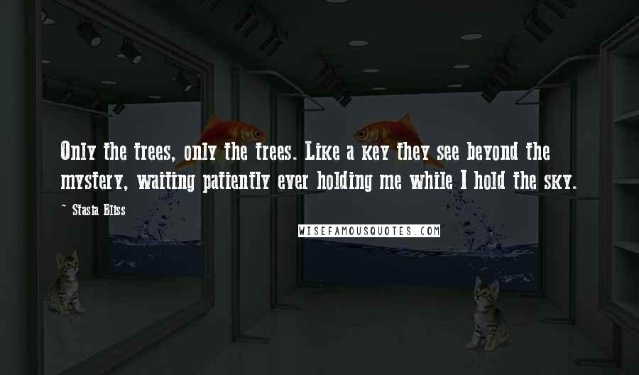 Stasia Bliss Quotes: Only the trees, only the trees. Like a key they see beyond the mystery, waiting patiently ever holding me while I hold the sky.