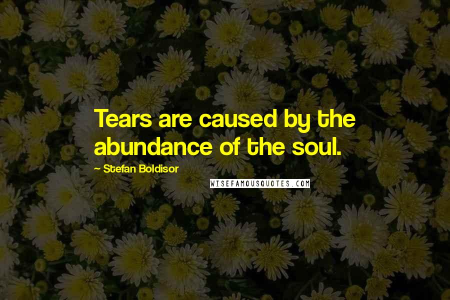 Stefan Boldisor Quotes: Tears are caused by the abundance of the soul.