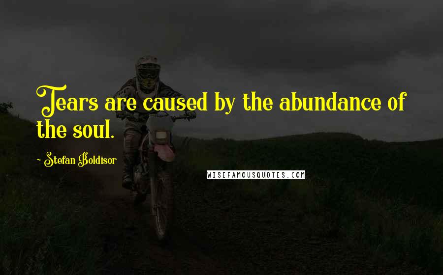 Stefan Boldisor Quotes: Tears are caused by the abundance of the soul.