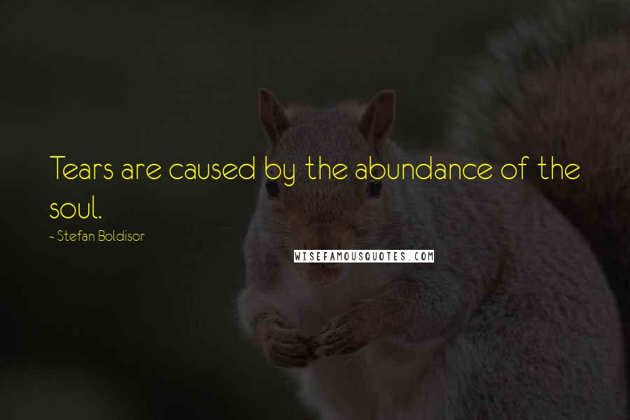 Stefan Boldisor Quotes: Tears are caused by the abundance of the soul.