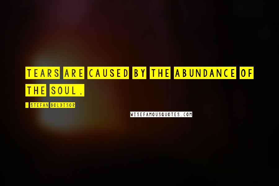 Stefan Boldisor Quotes: Tears are caused by the abundance of the soul.