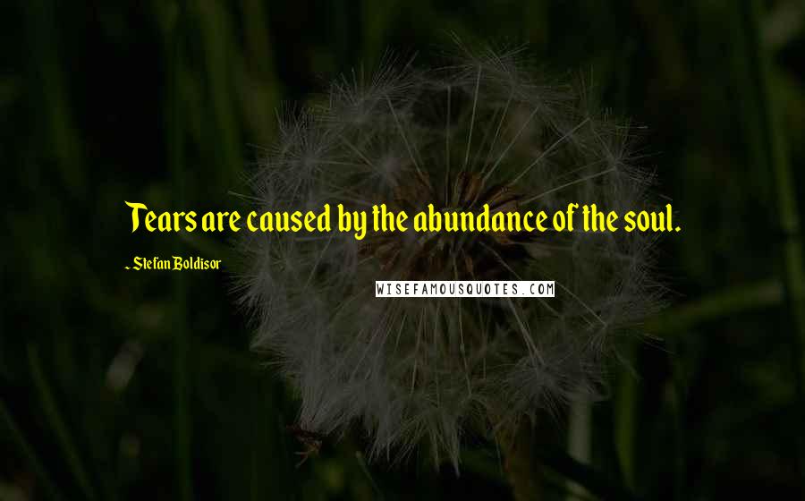Stefan Boldisor Quotes: Tears are caused by the abundance of the soul.