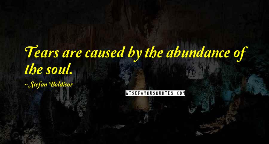 Stefan Boldisor Quotes: Tears are caused by the abundance of the soul.