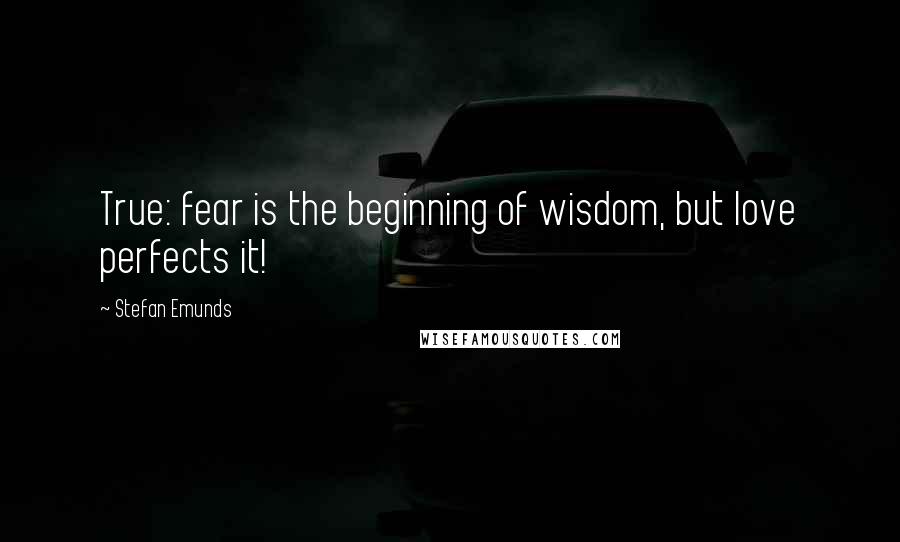 Stefan Emunds Quotes: True: fear is the beginning of wisdom, but love perfects it!