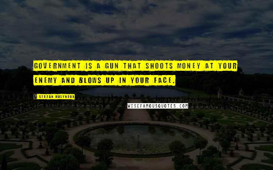 Stefan Molyneux Quotes: Government is a gun that shoots money at your enemy and blows up in your face.