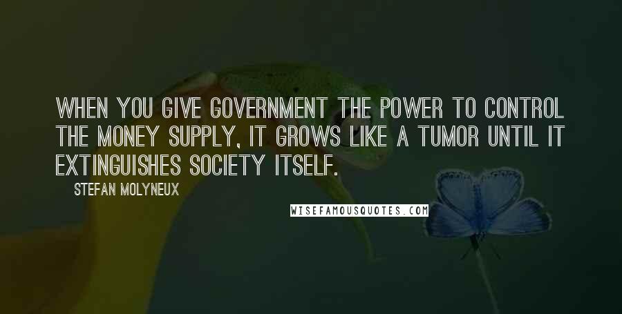 Stefan Molyneux Quotes: When you give government the power to control the money supply, it grows like a tumor until it extinguishes society itself.