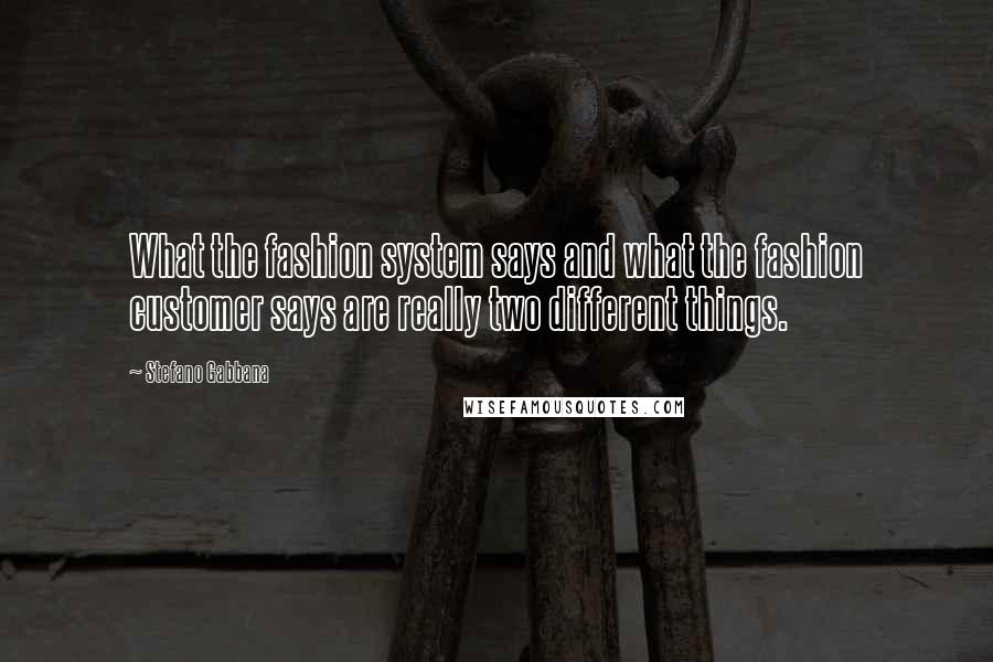 Stefano Gabbana Quotes: What the fashion system says and what the fashion customer says are really two different things.