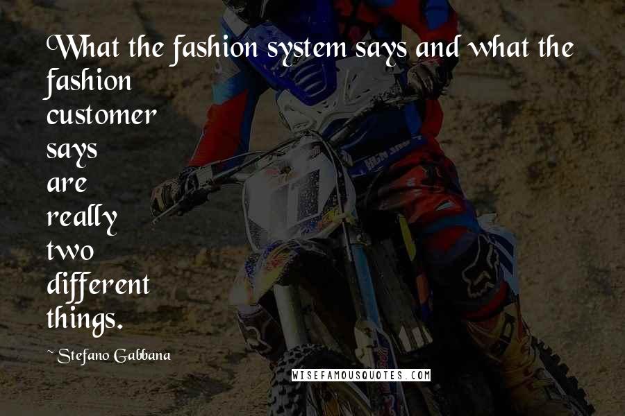 Stefano Gabbana Quotes: What the fashion system says and what the fashion customer says are really two different things.