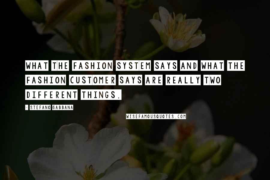 Stefano Gabbana Quotes: What the fashion system says and what the fashion customer says are really two different things.