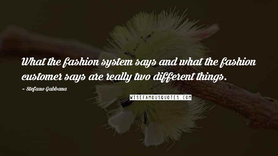 Stefano Gabbana Quotes: What the fashion system says and what the fashion customer says are really two different things.