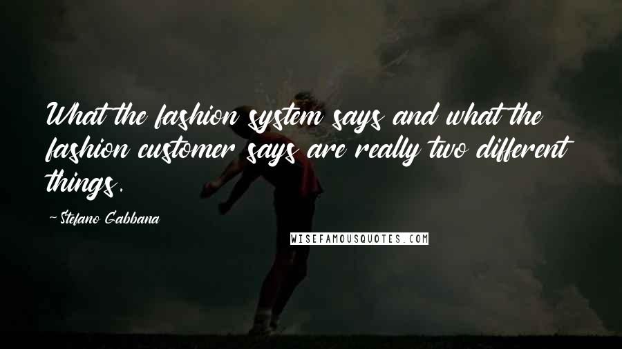 Stefano Gabbana Quotes: What the fashion system says and what the fashion customer says are really two different things.