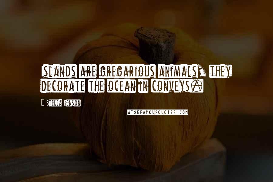 Stella Benson Quotes: Islands are gregarious animals, they decorate the ocean in conveys.