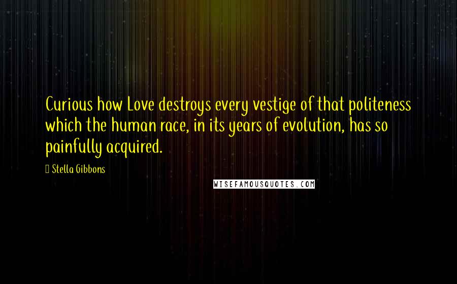 Stella Gibbons Quotes: Curious how Love destroys every vestige of that politeness which the human race, in its years of evolution, has so painfully acquired.