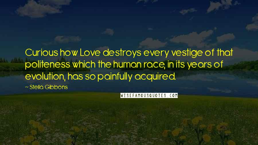 Stella Gibbons Quotes: Curious how Love destroys every vestige of that politeness which the human race, in its years of evolution, has so painfully acquired.