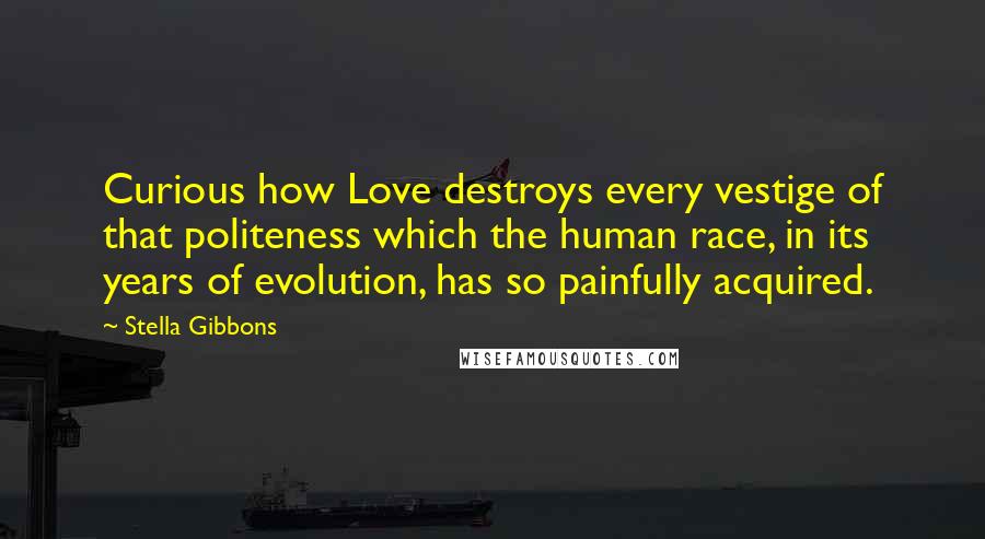 Stella Gibbons Quotes: Curious how Love destroys every vestige of that politeness which the human race, in its years of evolution, has so painfully acquired.