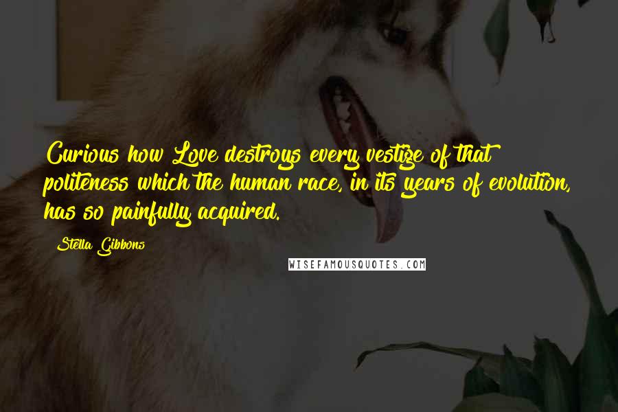 Stella Gibbons Quotes: Curious how Love destroys every vestige of that politeness which the human race, in its years of evolution, has so painfully acquired.