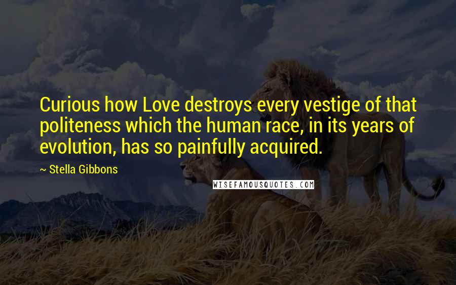 Stella Gibbons Quotes: Curious how Love destroys every vestige of that politeness which the human race, in its years of evolution, has so painfully acquired.