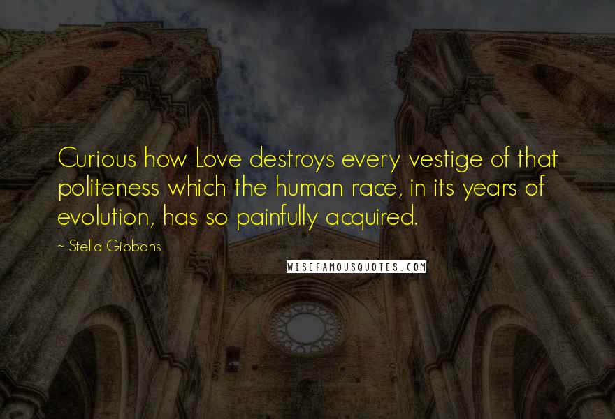 Stella Gibbons Quotes: Curious how Love destroys every vestige of that politeness which the human race, in its years of evolution, has so painfully acquired.
