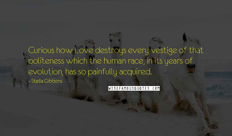 Stella Gibbons Quotes: Curious how Love destroys every vestige of that politeness which the human race, in its years of evolution, has so painfully acquired.