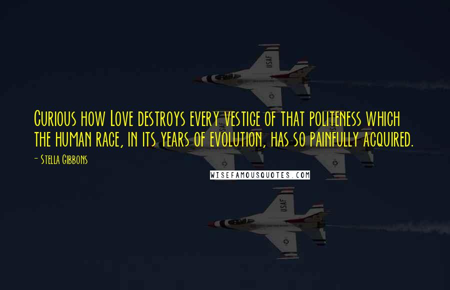 Stella Gibbons Quotes: Curious how Love destroys every vestige of that politeness which the human race, in its years of evolution, has so painfully acquired.