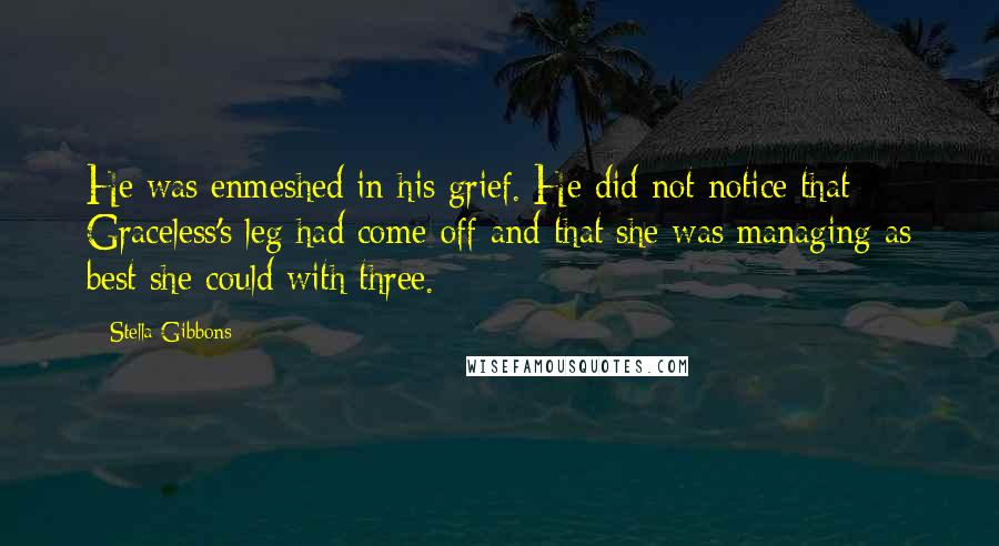 Stella Gibbons Quotes: He was enmeshed in his grief. He did not notice that Graceless's leg had come off and that she was managing as best she could with three.