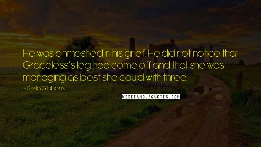 Stella Gibbons Quotes: He was enmeshed in his grief. He did not notice that Graceless's leg had come off and that she was managing as best she could with three.