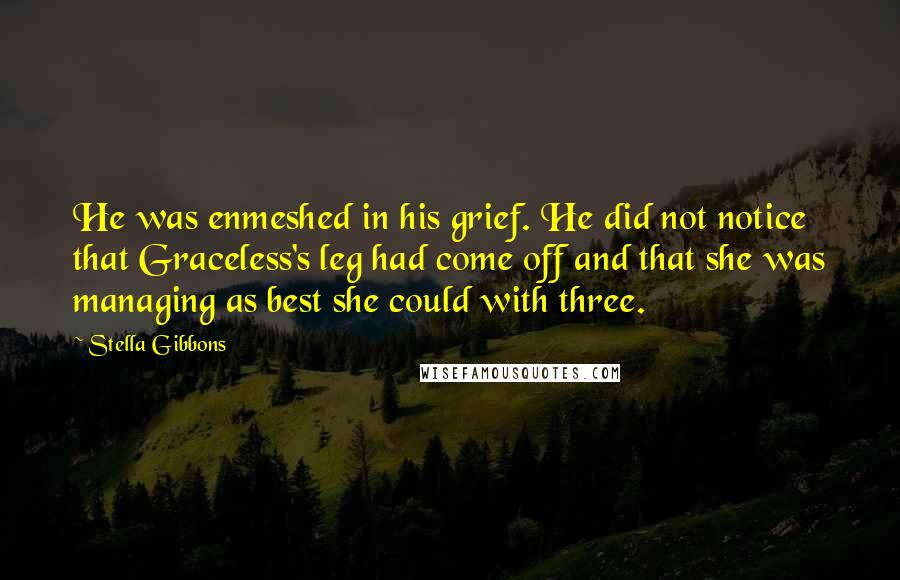 Stella Gibbons Quotes: He was enmeshed in his grief. He did not notice that Graceless's leg had come off and that she was managing as best she could with three.