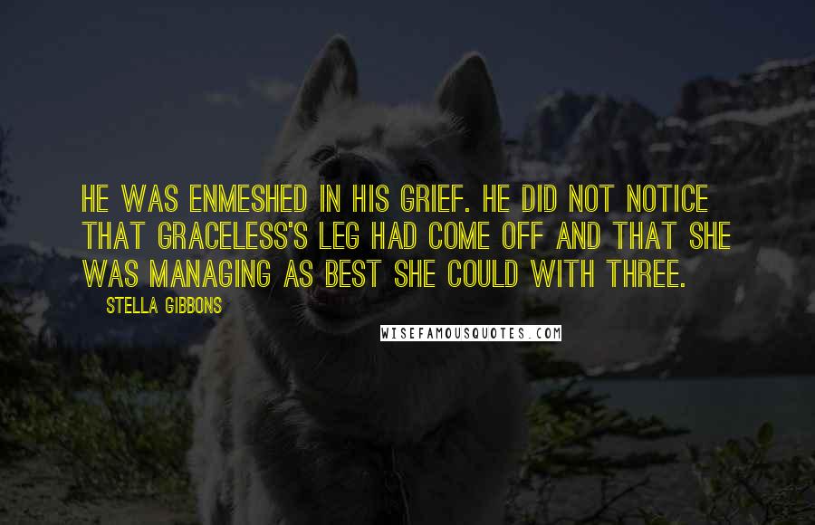 Stella Gibbons Quotes: He was enmeshed in his grief. He did not notice that Graceless's leg had come off and that she was managing as best she could with three.