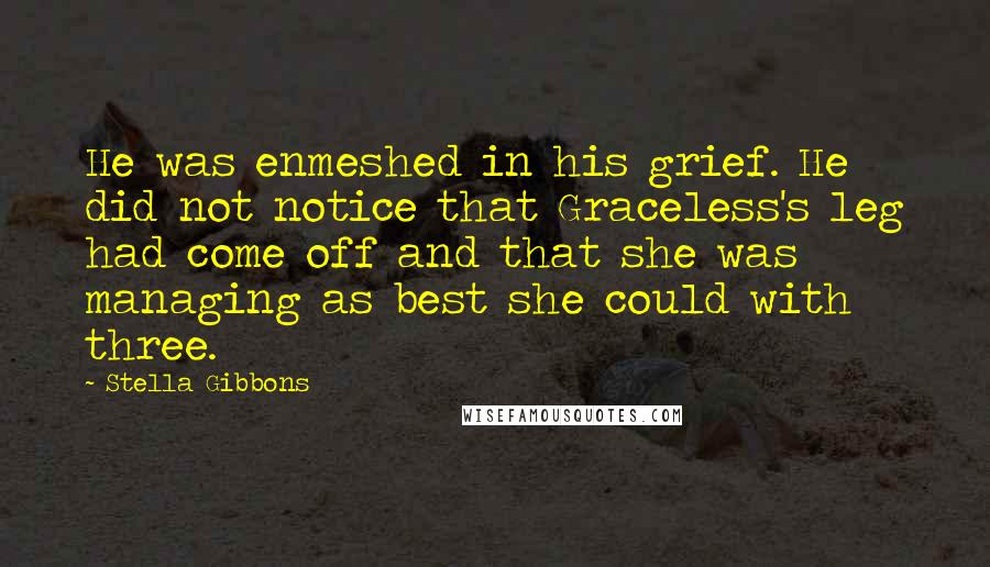 Stella Gibbons Quotes: He was enmeshed in his grief. He did not notice that Graceless's leg had come off and that she was managing as best she could with three.